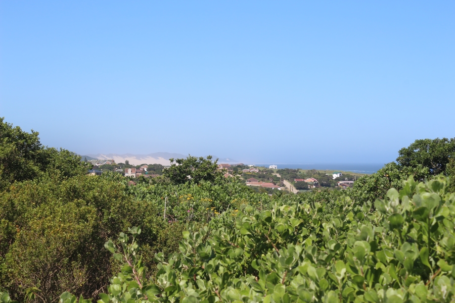 0 Bedroom Property for Sale in Port Alfred Eastern Cape
